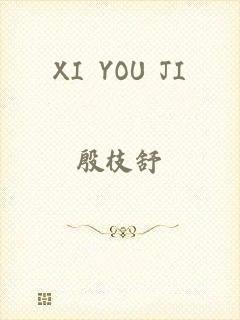 XI YOU JI